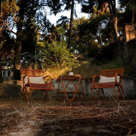 Forest House With Magnificent View And Garden Adalar
