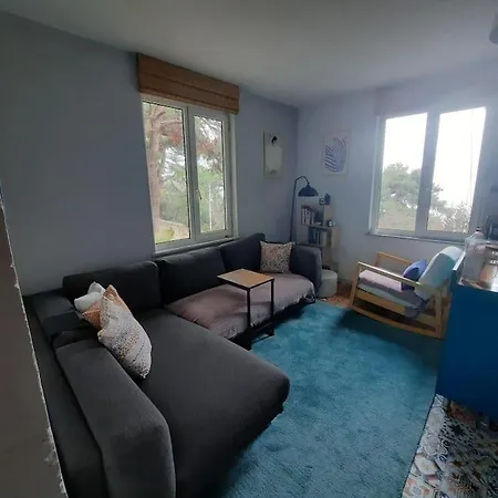 Apartament Forest House With Magnificent View And Garden Adalar